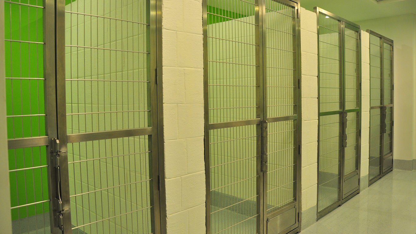 Book an Appointment ABVC Kennels & Cattery