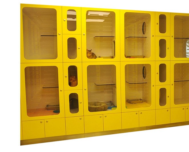 Book a Pet For Boarding ABVC Kennels & Cattery