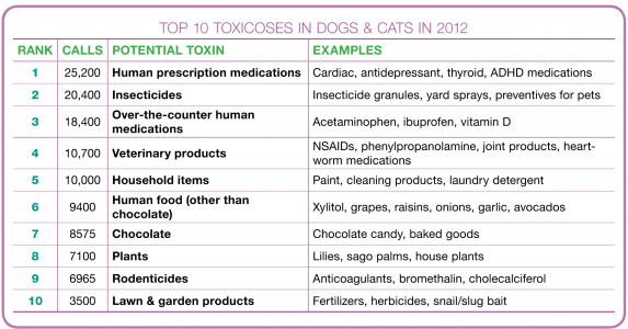 pet poison prevention week
