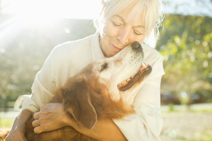 Final pet care