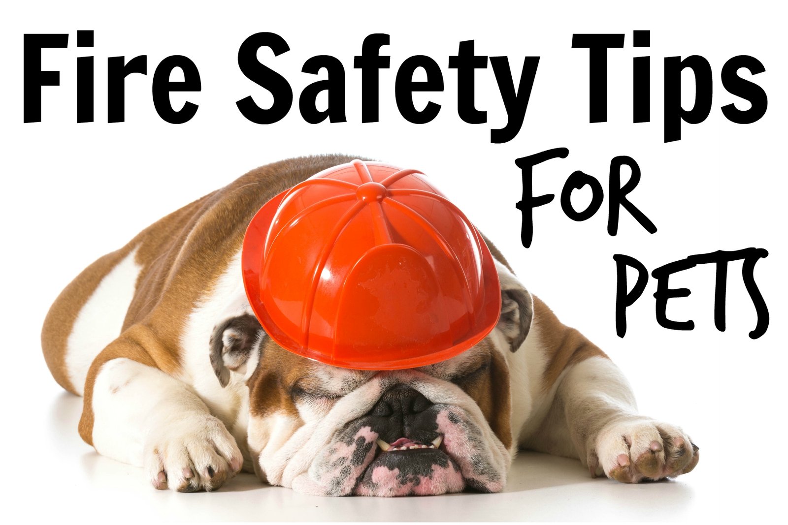 pet fire safety