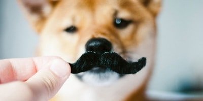 Movember