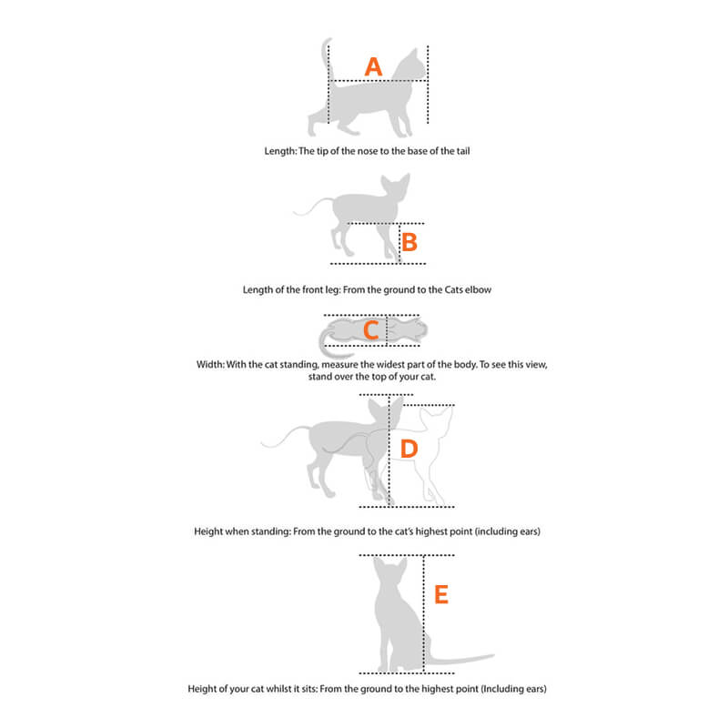 Tips On How To Measure Your Dog & Cat