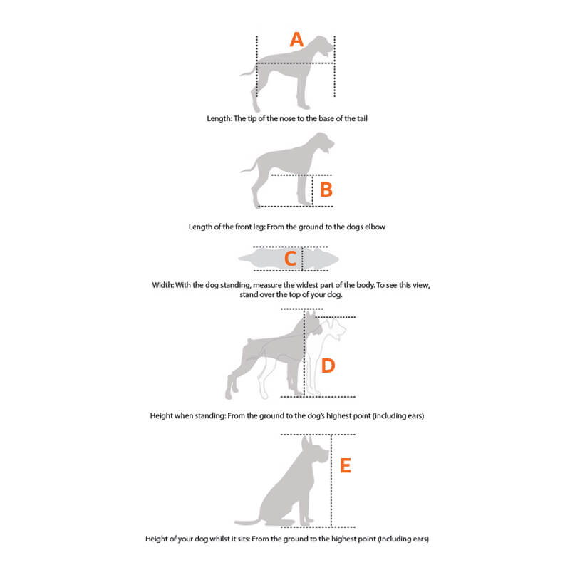 How Do I Measure My Dogs Height