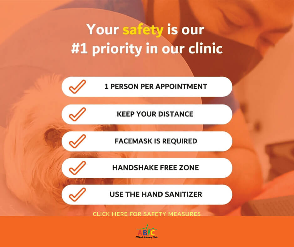Veterinary Clinic in Dubai | Vet Hospital in Dubai