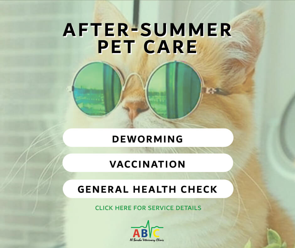 Veterinary Clinic in Dubai | Vet Hospital in Dubai